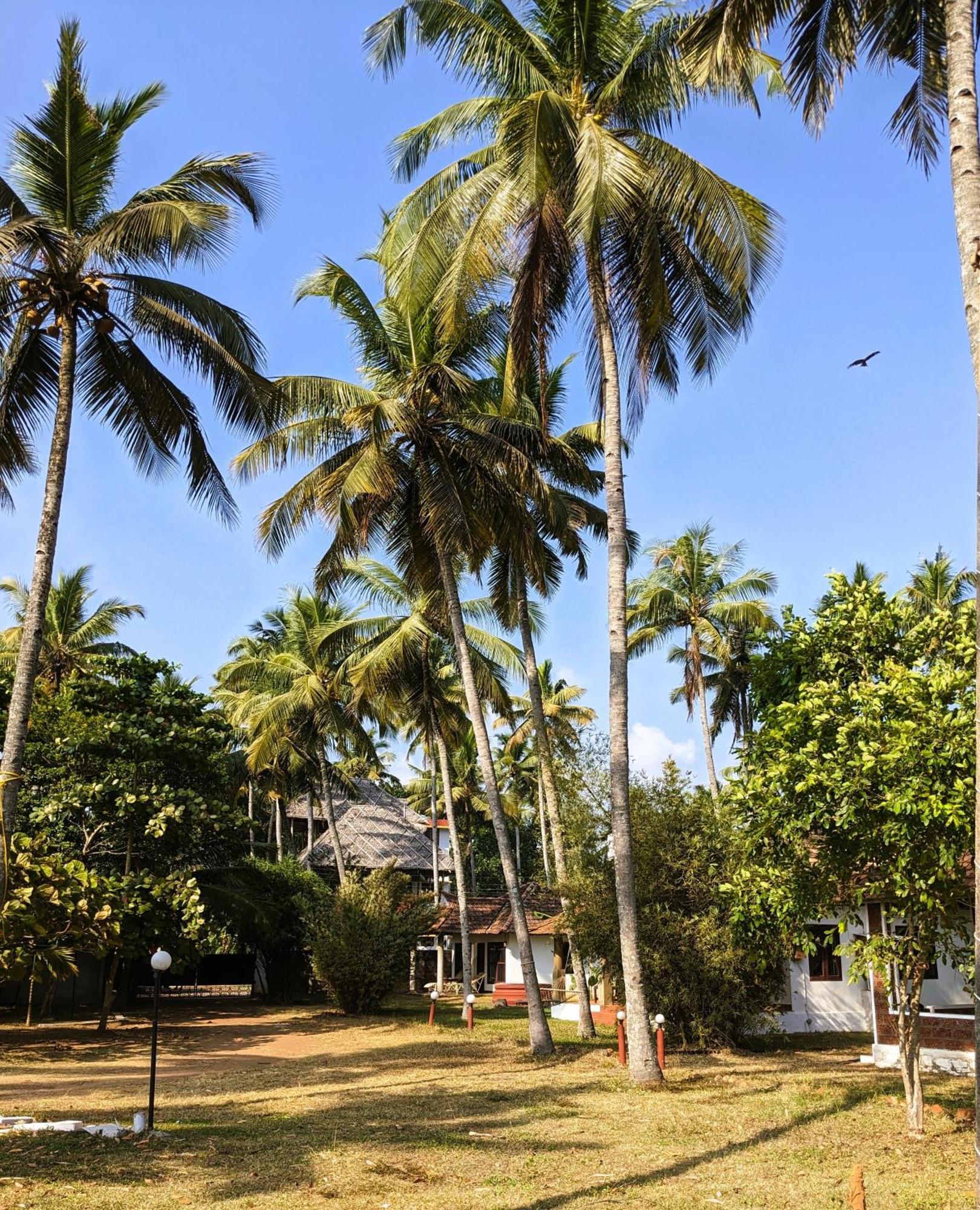 Baycliff Cottages Варкала Экстерьер фото